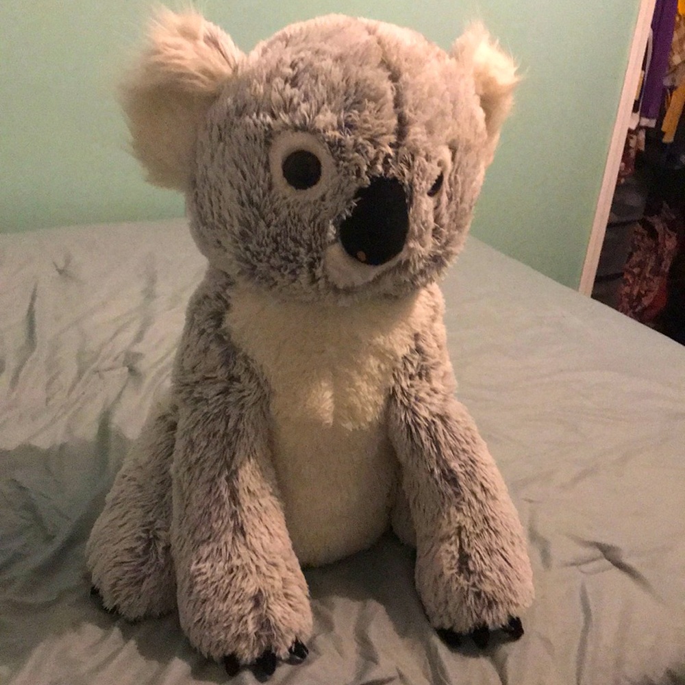 Koala bear